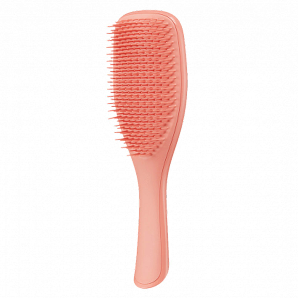 Tangle Teezer Wet Detangler Fine & Fragile Sweet Cinnamon - spazzola per capelli  fini e bagnati | Hair Gallery