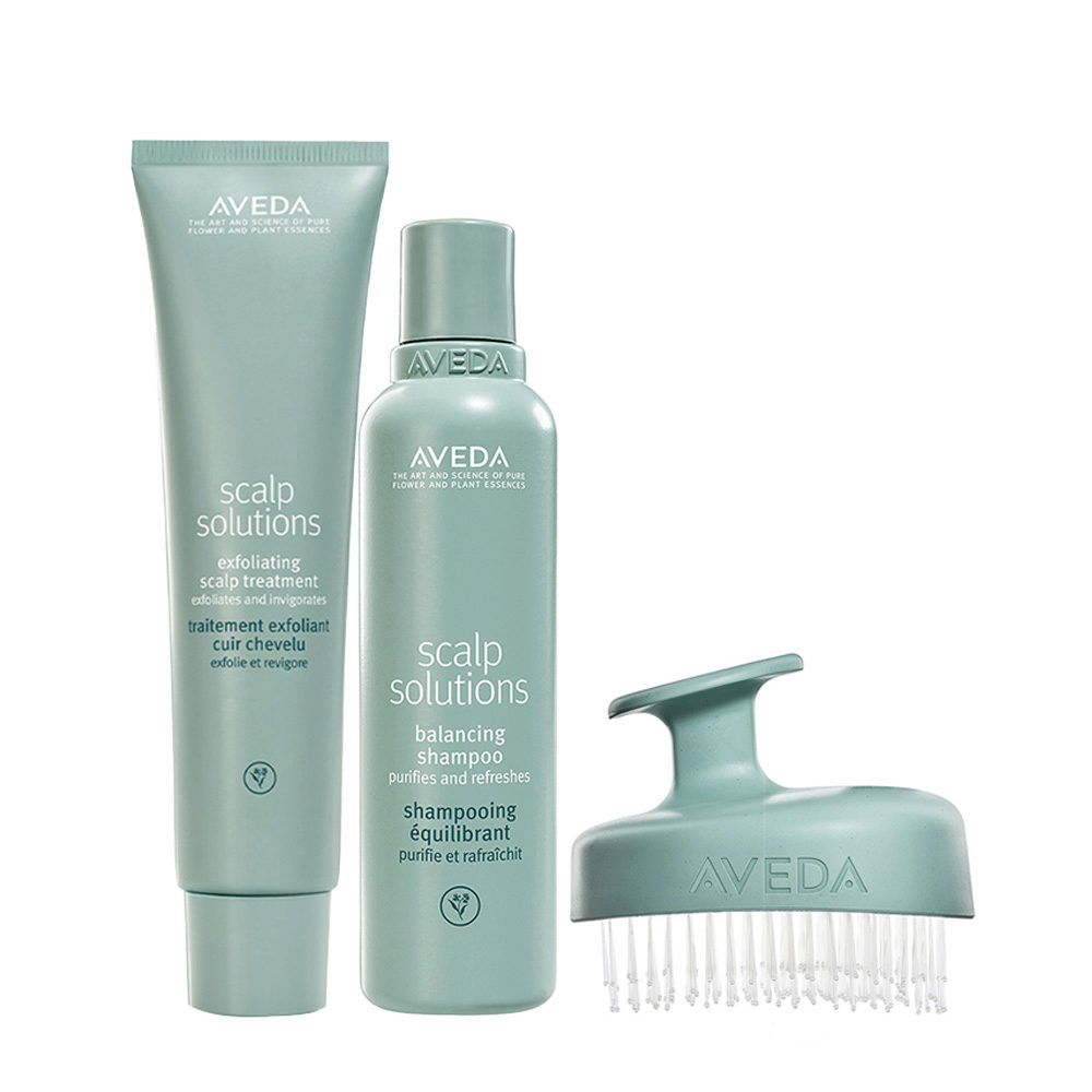Aveda Scalp Solutions Exfoliating Scalp Treatment 150ml Shampoo 200ml Scalp  Massager | Hair Gallery